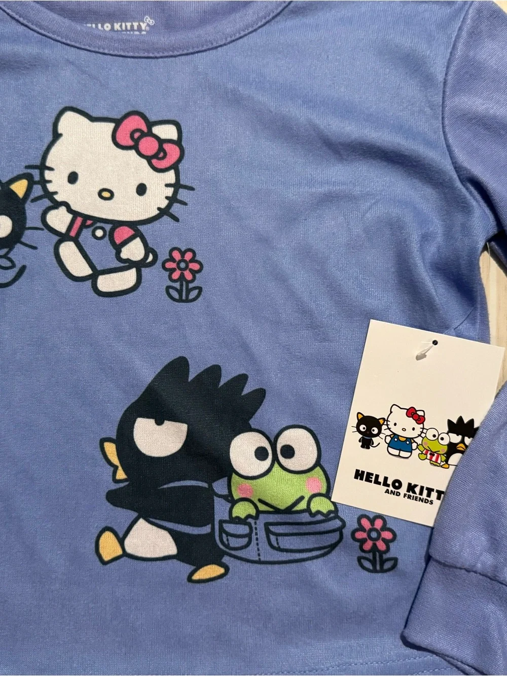 Hello Kitty Girls XS 4/5 Light Blue Purple Sanrio Pajama Set